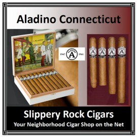  Aladino CONNECTICUT Churchill